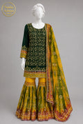 MULTICOLOR CHIFFON GHARARA -M / L - image 1 - Nadia Adnan Studio